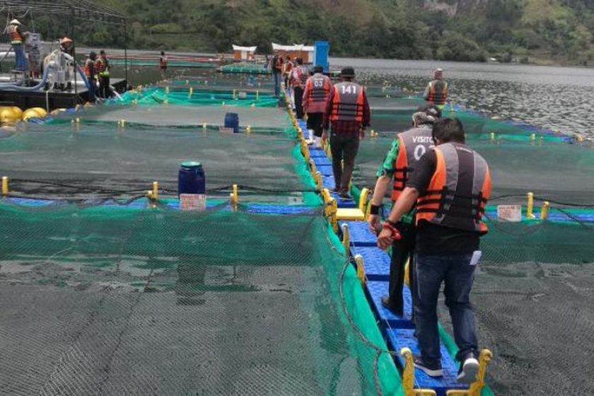 Budidaya Perikanan Bagi Sosial