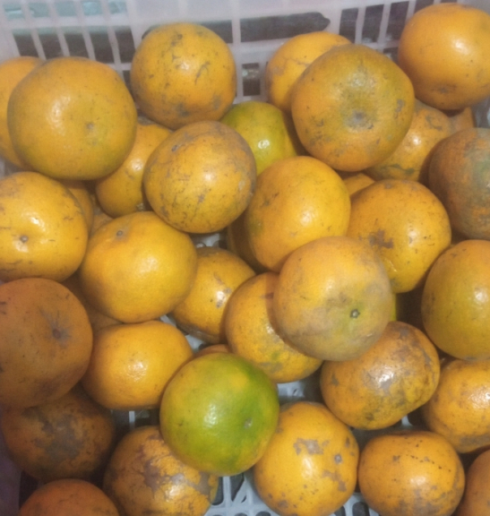 Buah buahan