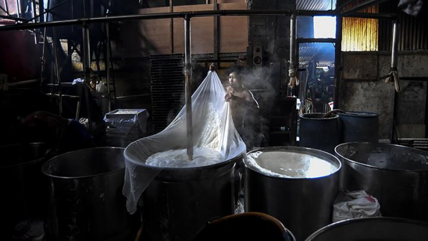 BRI Dorong Pertumbuhan UMKM dalam Menjawab Kritik terhadap Jokowi