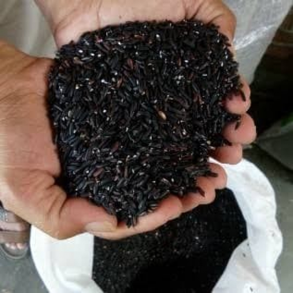 Gula Aren, Beras Hitam, Beras Ketan Putih dan Beras Ketan Hitam