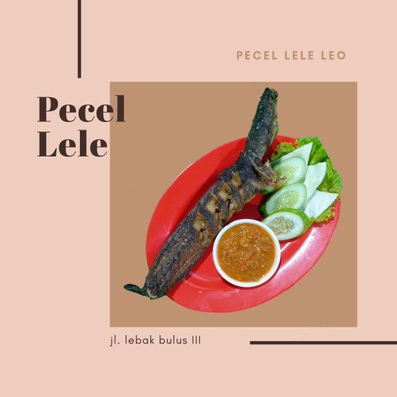 Pecel lele leo