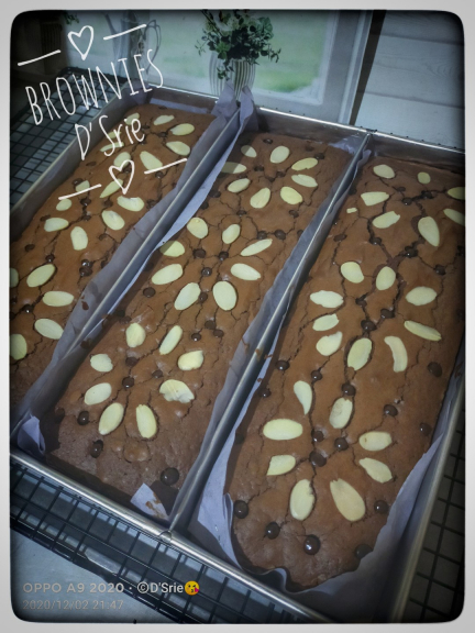 Brownies Size L 30x10