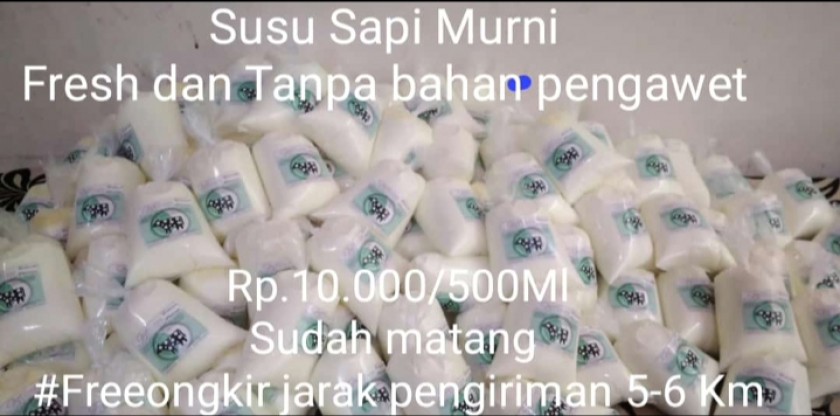 SUSU sapi murni