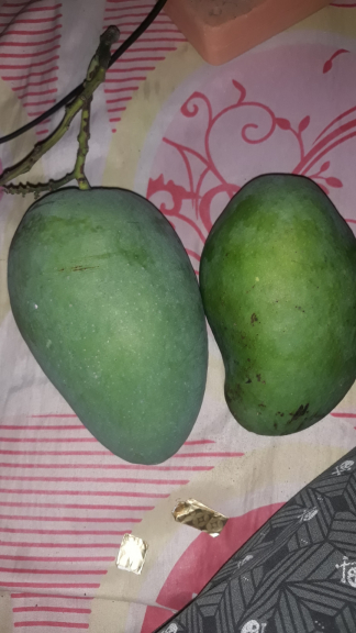 Mangga