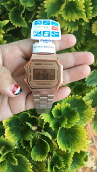 Jam Tangan Casio