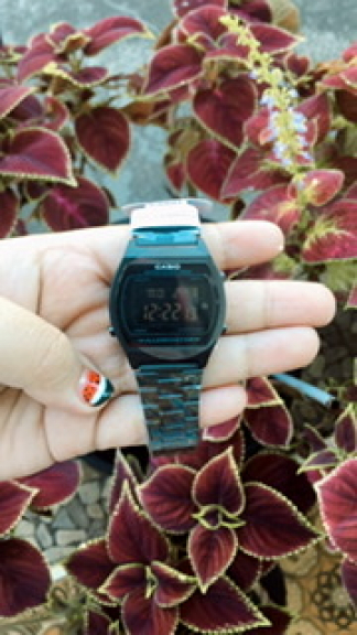 Jam Tangan Casio