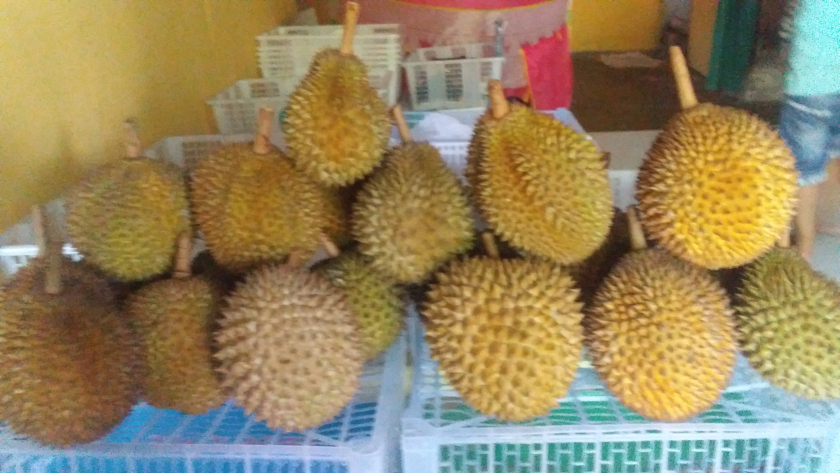 Aneka buah