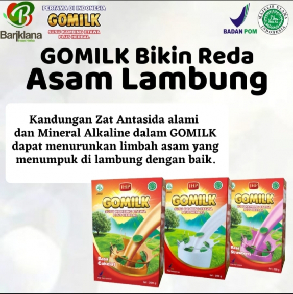 Gomilk susu kambing etawa