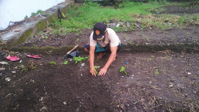 Pemasangan batu alam,kolam hias dan pertamanan