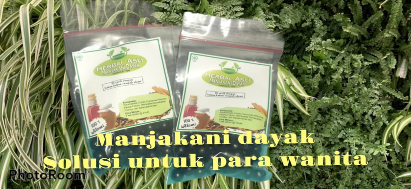 Herbal Asli Manjakani Dayak