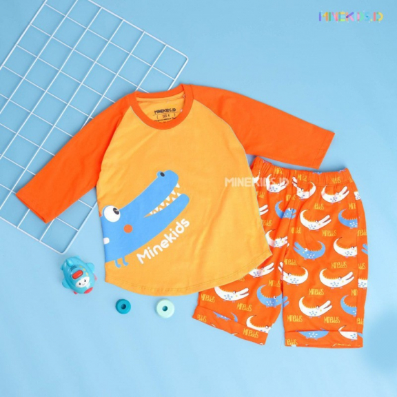 Kaos Raglan Set by Minekids