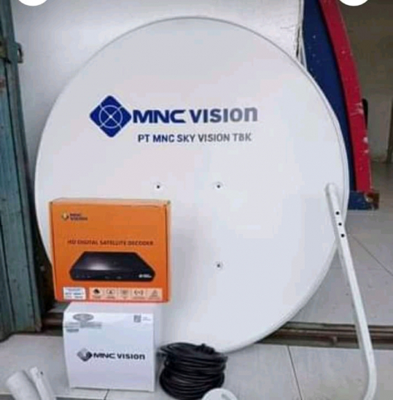 Indovision