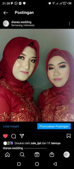 Rias Pengantin "Dianas Wedding"