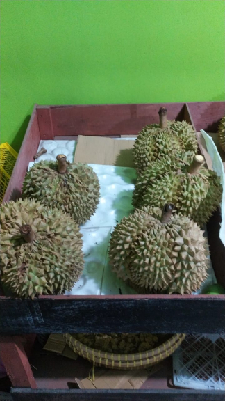 durian