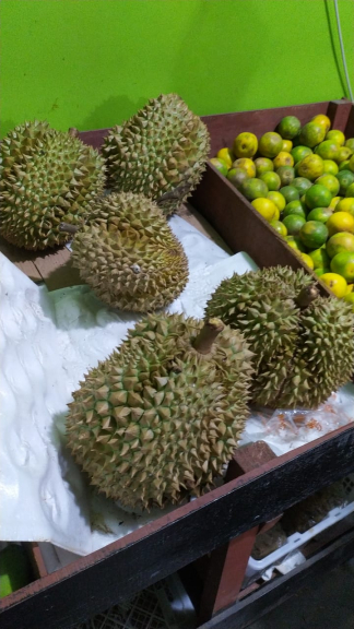 durian