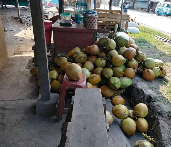 Kelapa muda 