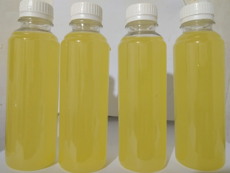 water kefir nanas