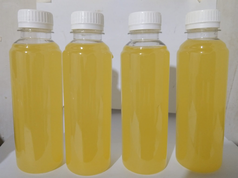 water kefir nanas