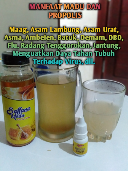 Saffana Madu Apis Melifera 600 Gram