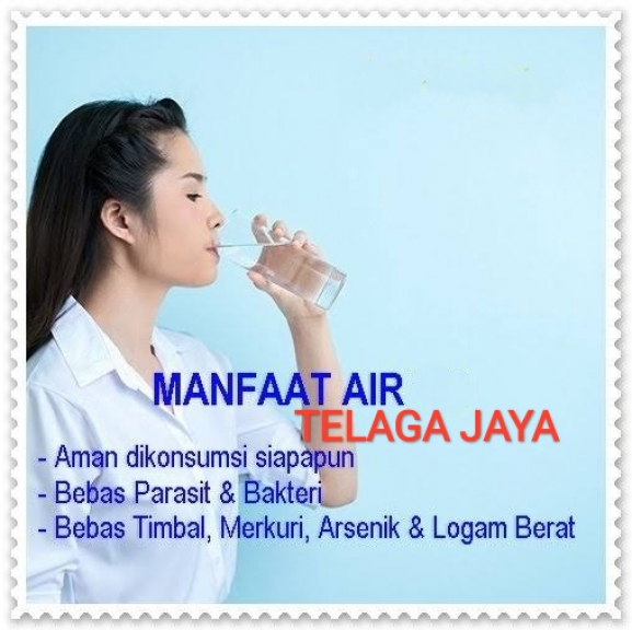 Air minum telaga jaya