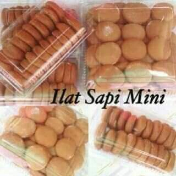 Ilat sapi