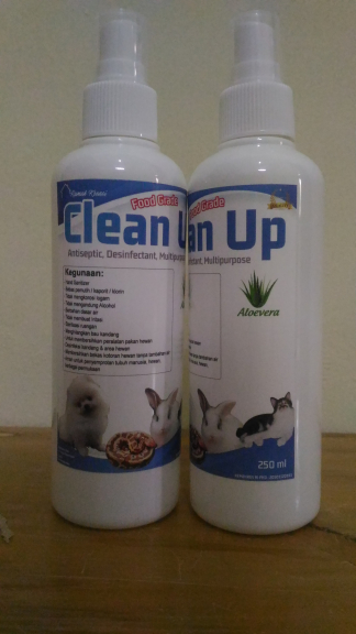 CleanUp Antiseptic, Disinfectant, Multipurpose