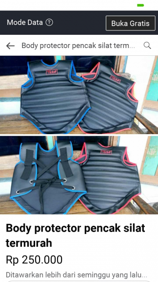 Body protector silat