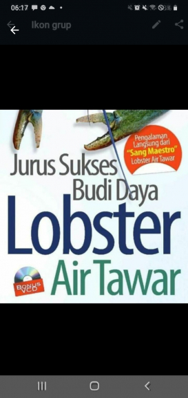 INDUKAN LOBSTER AIR TAWAR