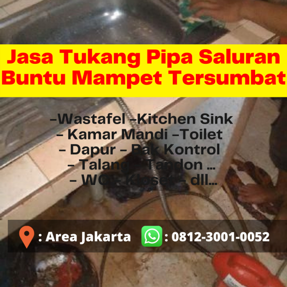 PROFESIONAL, 0812-3001-0052, Jasa Saluran Mampet Cempaka Putih