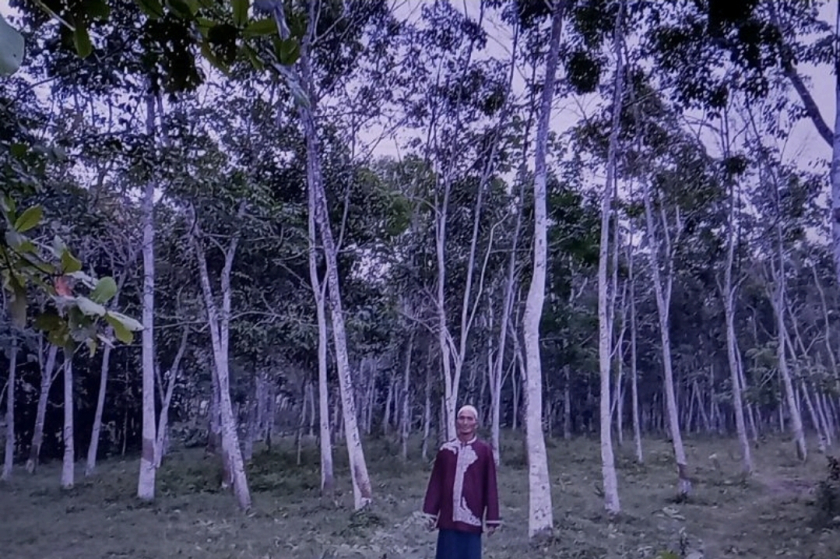 KARET DAN SINGKONG BU CARKEM