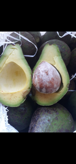 Toko Buah pak sugiyanto