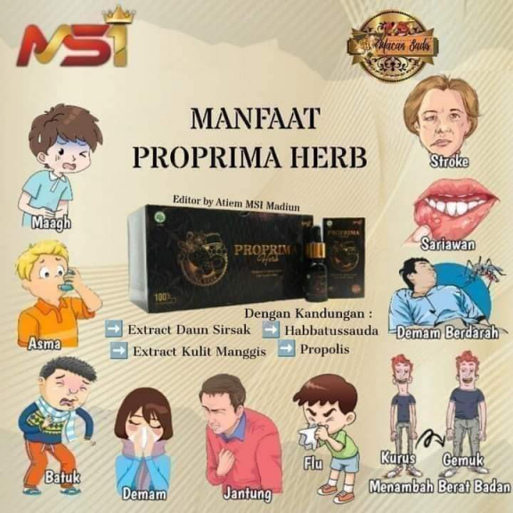 Propima MSI 
