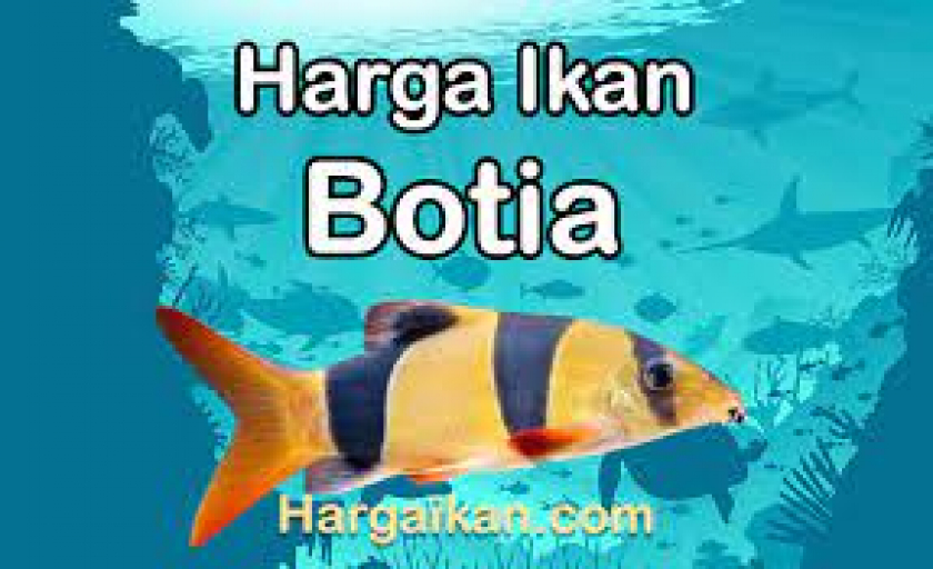 IKAN BOTIA