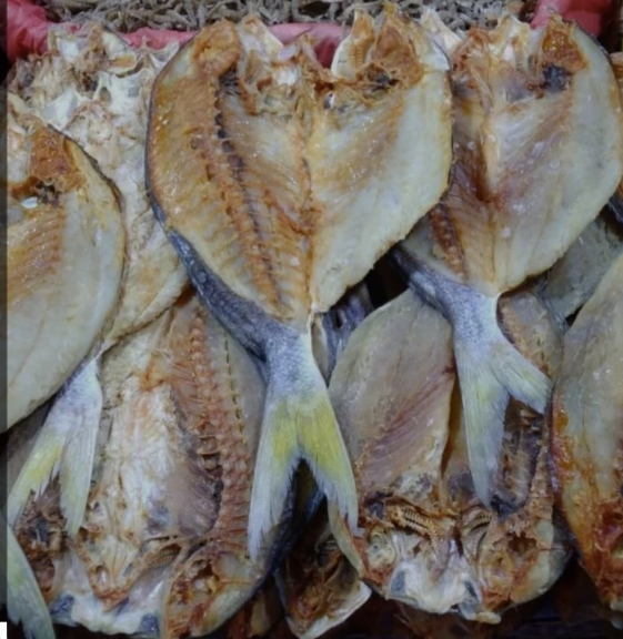 IKAN EKOR KUNING