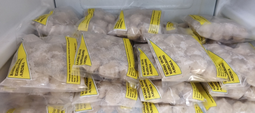 Bakso ikan tindarung 