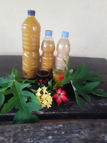 Jamu Tradisional