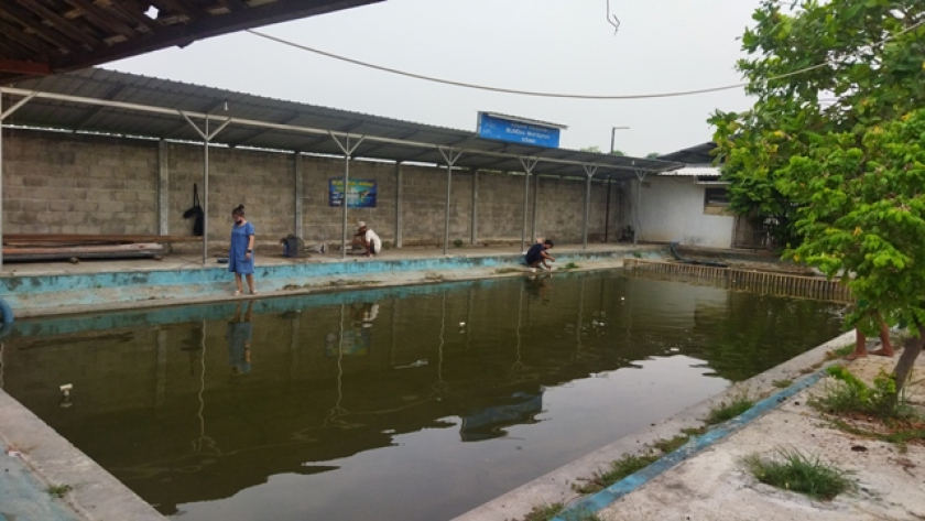 Suwaluh Wahana Mancing