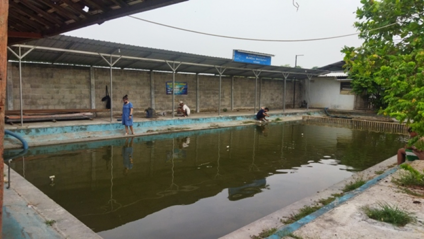 Suwaluh Wahana Mancing