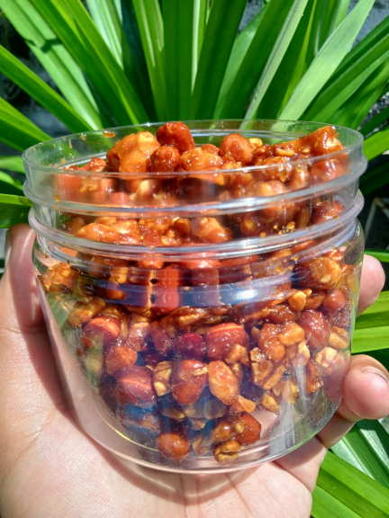 Tempe Teri Kacang