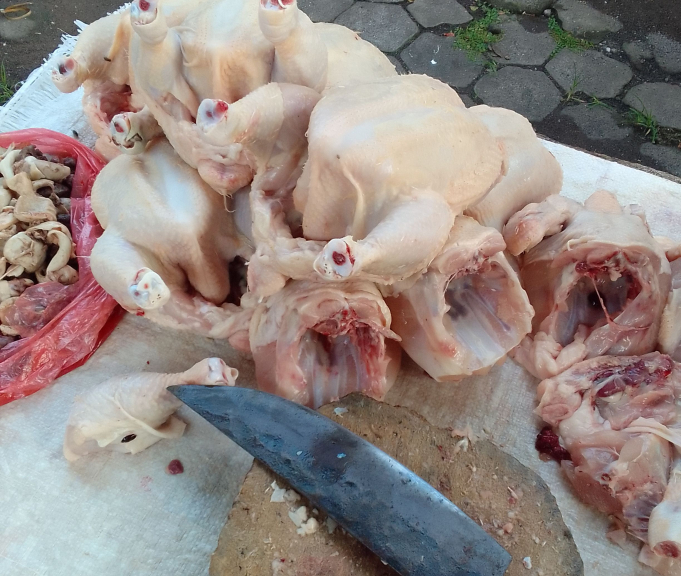 Ayam Potong