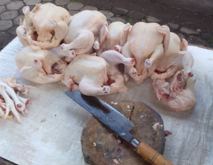 Ayam Potong