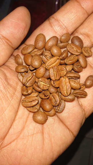 Kopi arabica natural