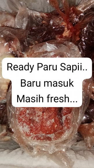 Daging sapi 