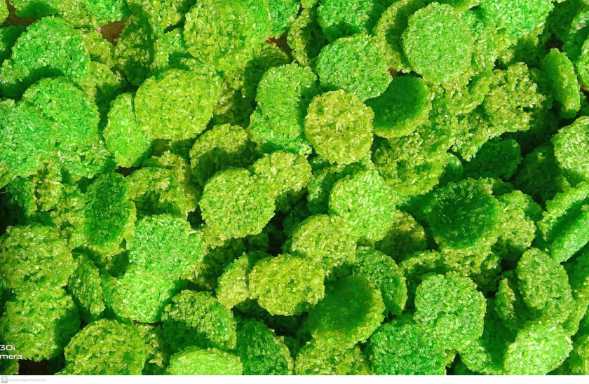 Rengginang mentah pandan manis 400g