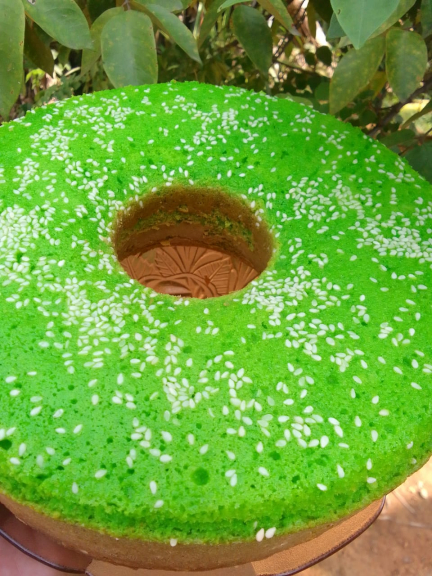 Bolu Jadul
