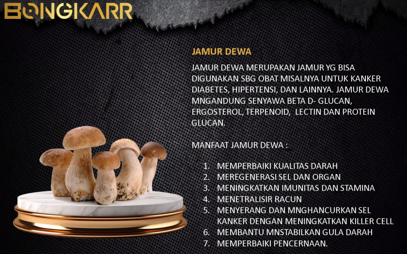 Rokok Bongkar 0818463481 WA