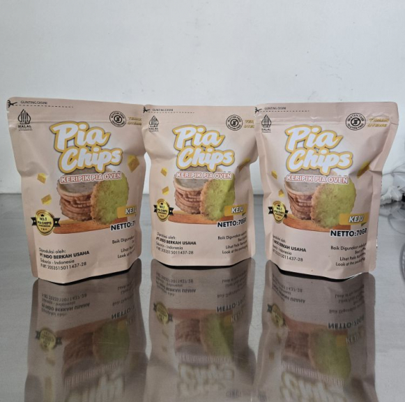 PIA CHIPS