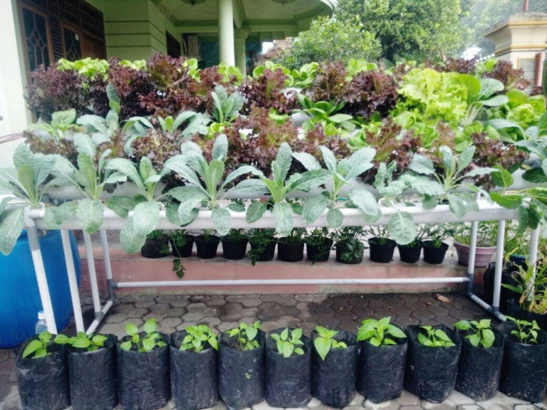 Semua alat dan kebutuhan hidroponik dan organik. bunga dll