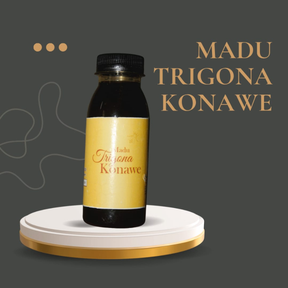 madu trigona konawe