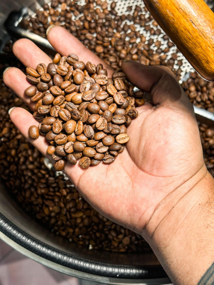 Kopi Aren